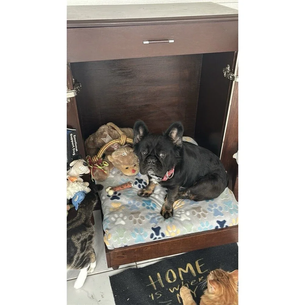 Murphy Style Dog Bed with Memory Foam Standard, Dark Wood For Small Dog Or Cat